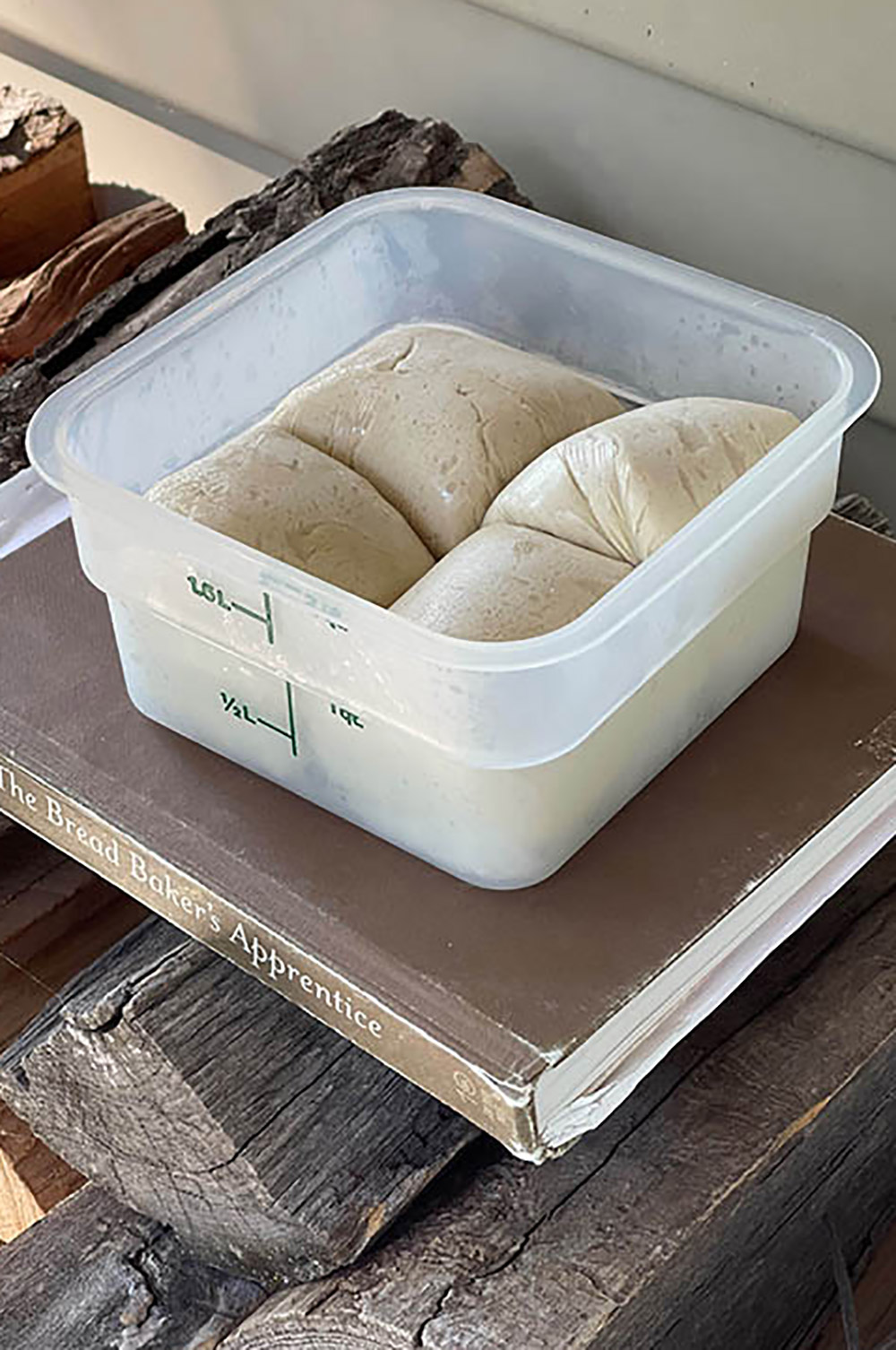 Pizza dough in container