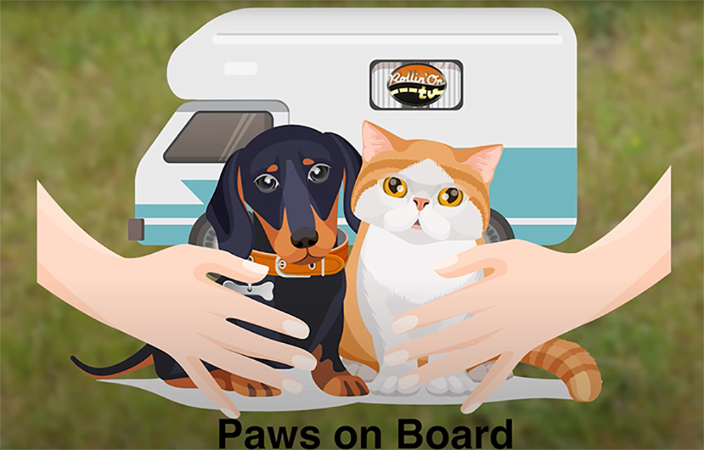 Paws on Board illustration