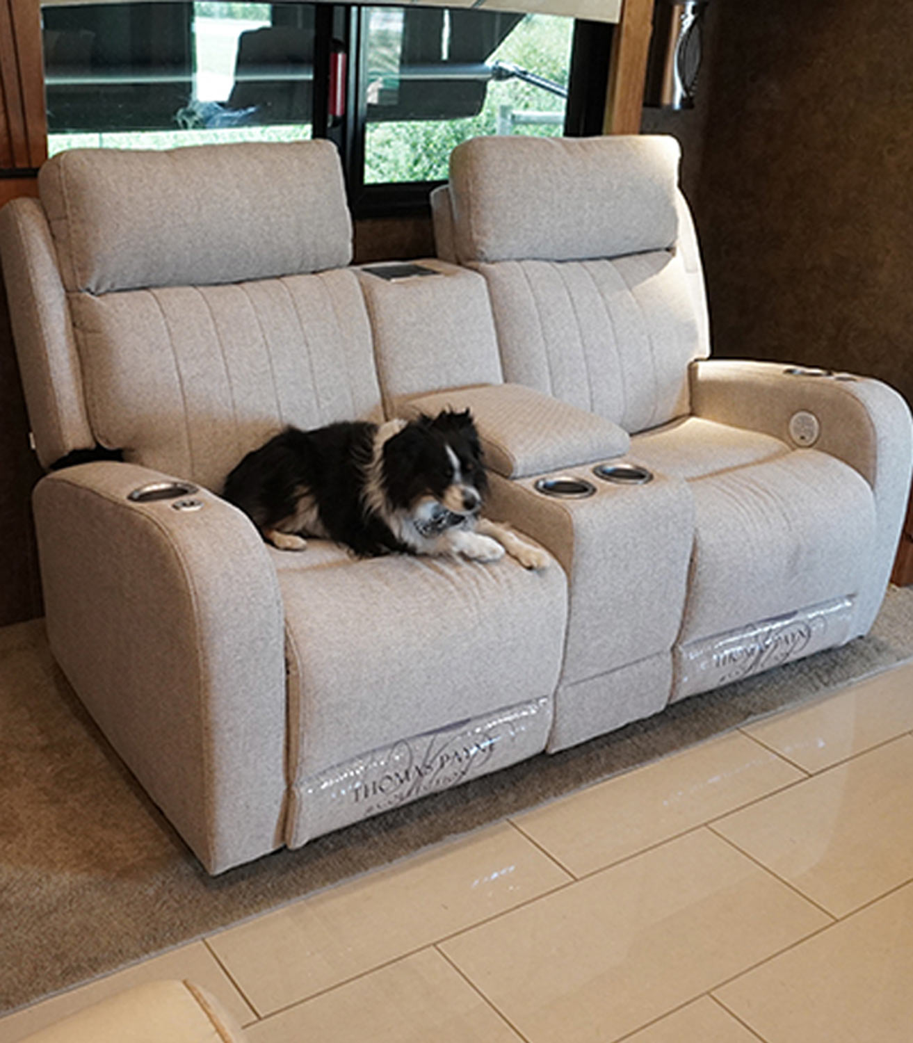 a Border Collie rest on a recliner in the motorhome