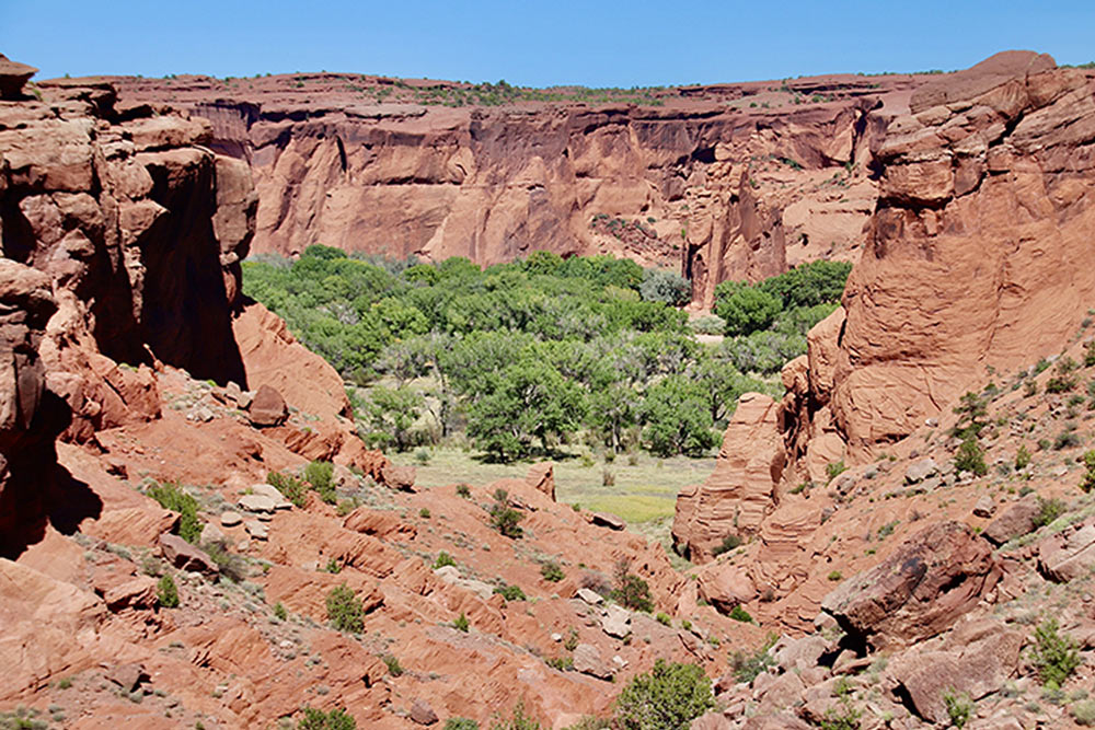 a view down into Canyon de Chelly from one of the overlooks on the South Rim drive