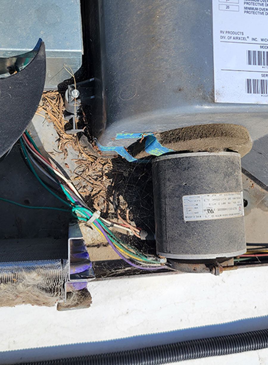 Debris is collected between the motor and wiring harness