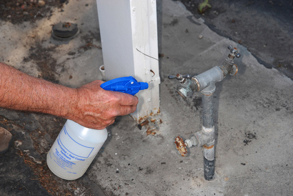 Before connecting a water hose to the hookup spigot