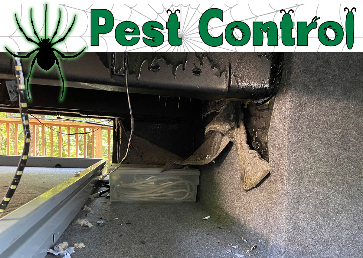Pest Control: damage that occurred when a wild racoon was trapped inside a RV while in storage