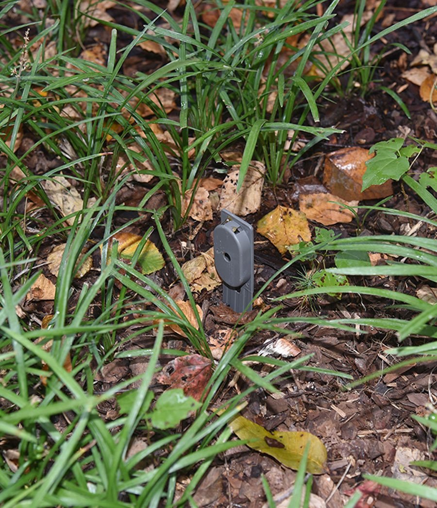 gel bait stations from Amdro are stakes