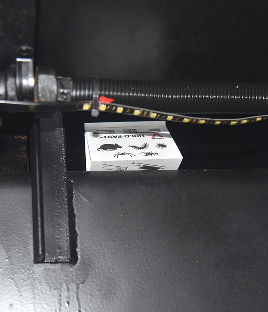 glue trap