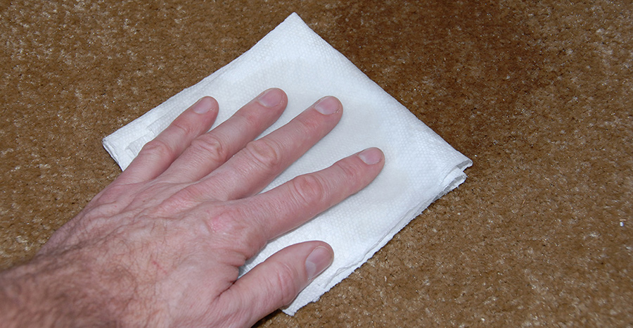 Spills can happen whether in your home or RV. The important thing is to address them immediately — the longer it sits, the harder the stain will be to remove. To clean carpet, first blot the stain with clean white paper towel or a clean white cloth. Keep blotting until you’ve soaked up as much of the offending liquid as possible.