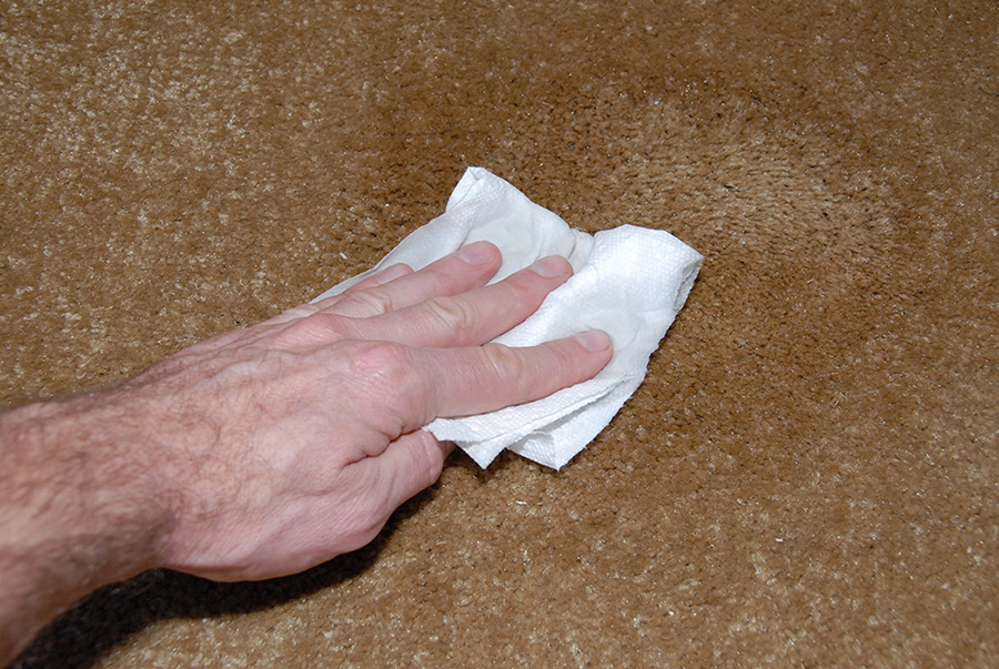 Blot the stain, moving from the outside to the inside of the area. This will help prevent spreading the spill and making it larger. Once it appears that all the stain has been removed (no more liquid is visible on your cleaning cloth), use another clean cloth dipped in water to rinse the area. Blot as dry as you can, then leave a dry piece of paper towel or cloth on the area until completely dry. This will help wick more moisture from the fibers and prevent you (or others) from stepping on the area.