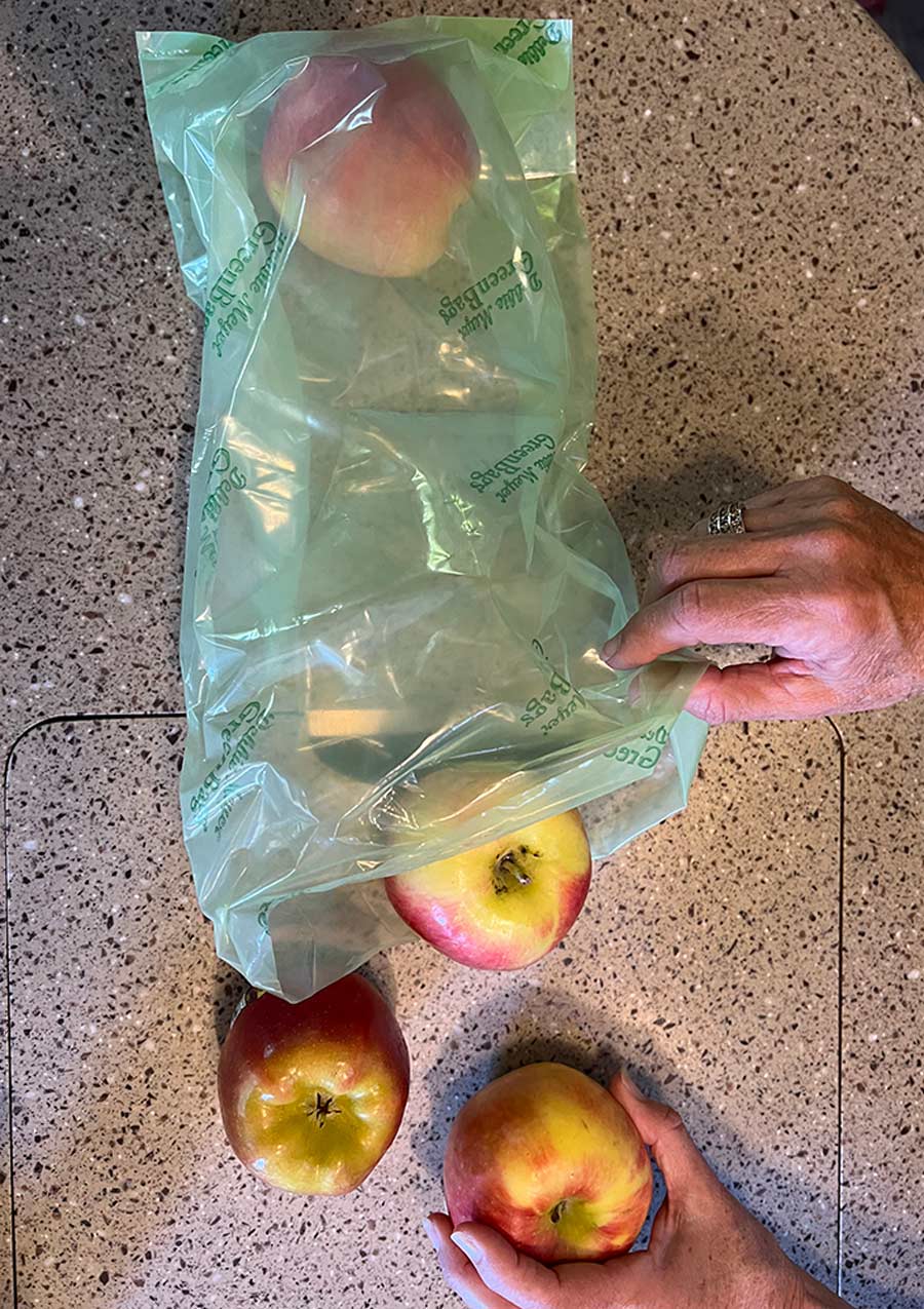 XL Debbie Meyer Green bag used to store apples
