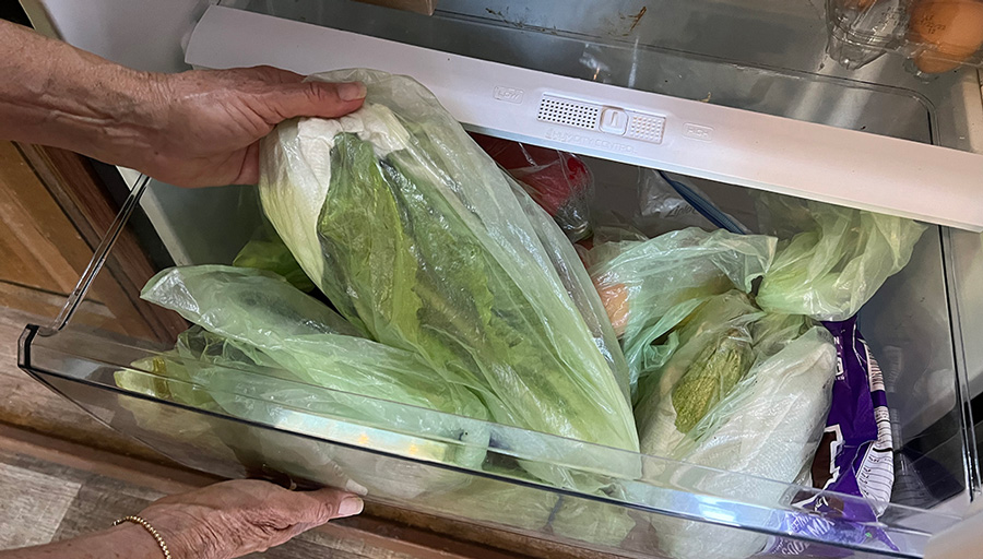 green bags filled with food placed together for maximum storage