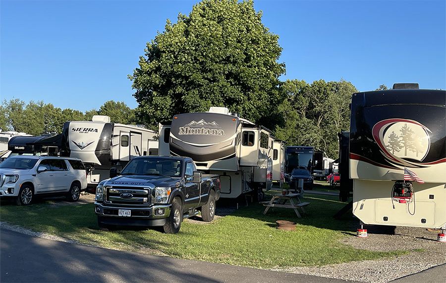 Multiple RVs parked in a park