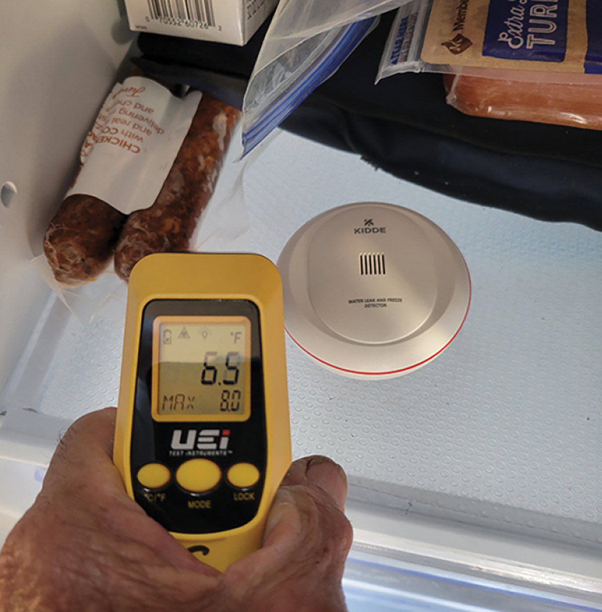 placing the detector in the freezer as a test run